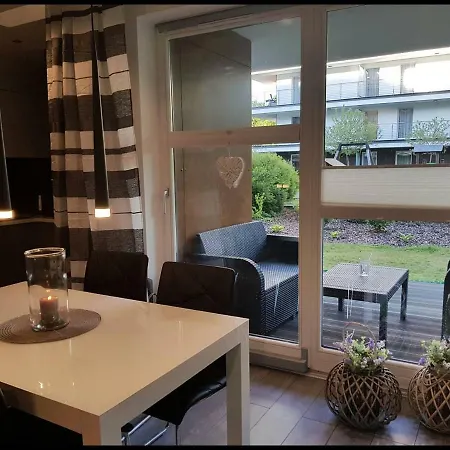 Family Golden Tulip *