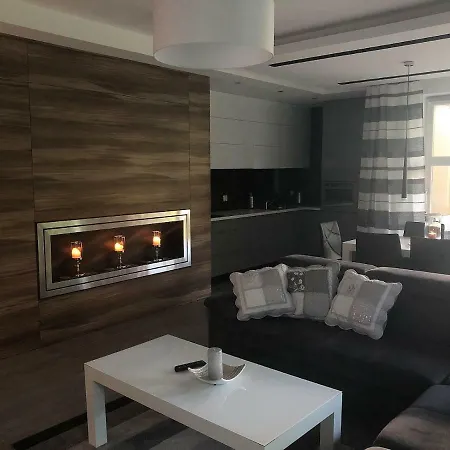 Family Golden Tulip *