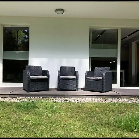 Family Golden Tulip *