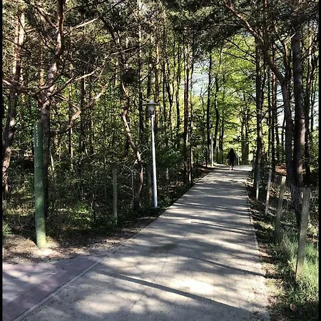 Family Golden Tulip Apartmán