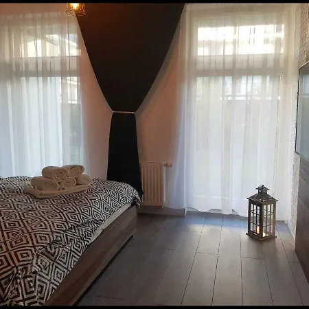 Family Golden Tulip *